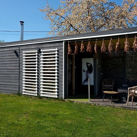 Domek Arkasasino Z Jacuzzi Eksteriør bilde